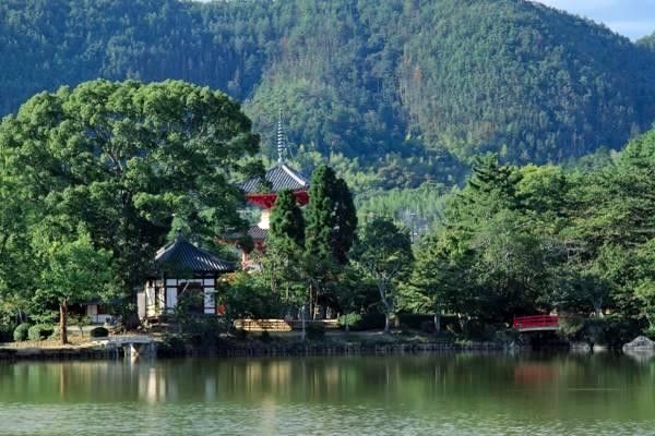 全面解讀導(dǎo)航系統(tǒng)：選擇、使用與價(jià)格分析