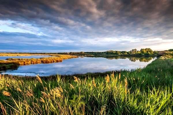 深入了解導(dǎo)航系統(tǒng)：行業(yè)現(xiàn)狀、技術(shù)進(jìn)展及市場(chǎng)前景