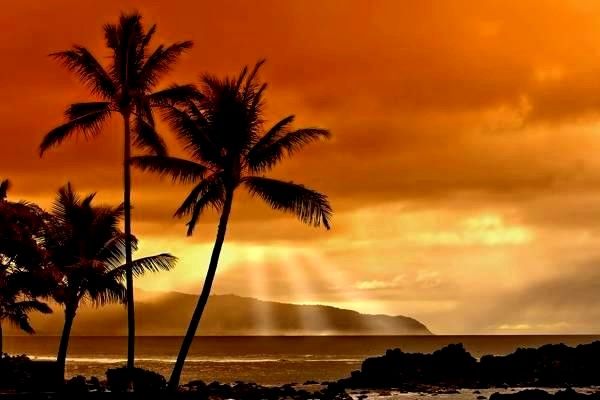 導(dǎo)航系統(tǒng)的全面解析：價格、分類、發(fā)展趨勢與未來如何