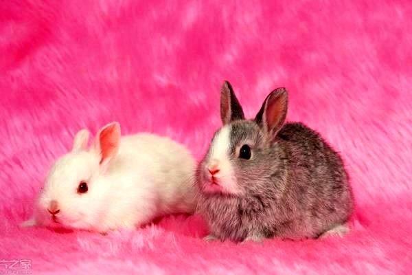 導(dǎo)航系統(tǒng)：什么？?jī)r(jià)格？怎么樣？政策解析