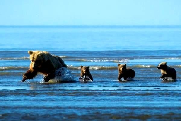 導(dǎo)航系統(tǒng)的全方位解析：定義、應(yīng)用、政策與未來(lái)前景