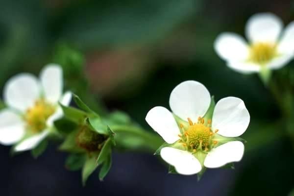 導(dǎo)航系統(tǒng)揭秘：了解導(dǎo)航系統(tǒng)的工作原理及其未來(lái)發(fā)展