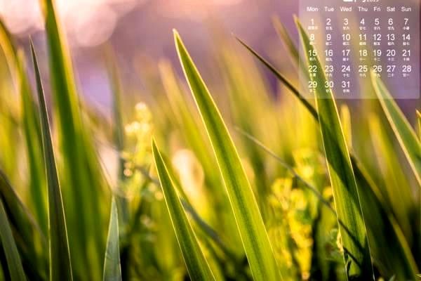 導航系統(tǒng)全解析：定義、應用、政策與未來發(fā)展