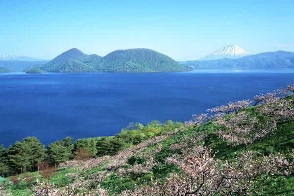 導(dǎo)航系統(tǒng)的全面解析：政策背景、價(jià)格及使用指南