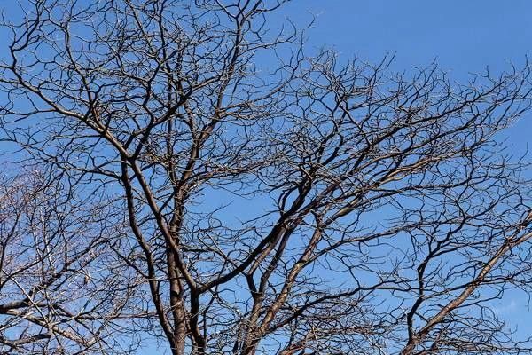 導(dǎo)航系統(tǒng)政策大全：你需要了解的導(dǎo)航系統(tǒng)背后的每一個細(xì)節(jié)