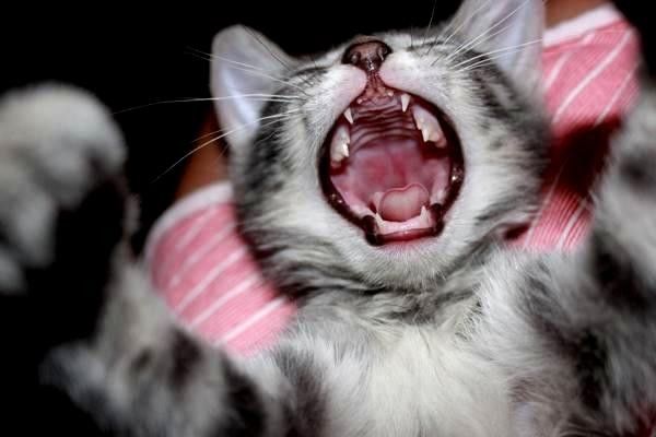 導航系統(tǒng)全景解析：全球?qū)Ш郊夹g(shù)的發(fā)展與應用